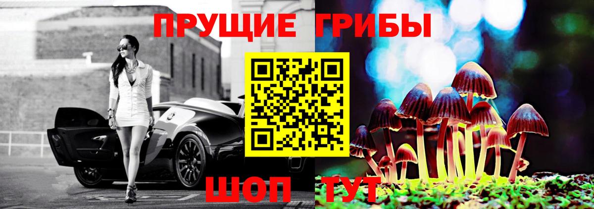 Галлюциногенные грибы Psilocybe Вятские Поляны